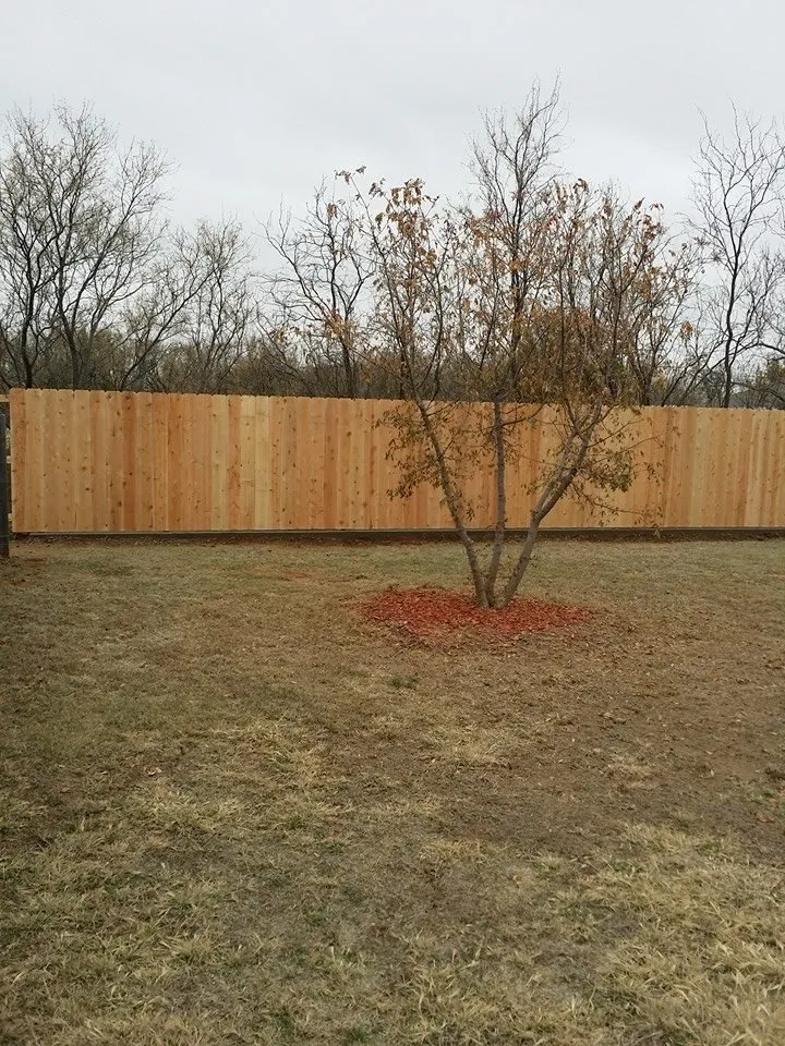 Affordable lawn care service with custom design in Archer City, TX by Whitaker Lawn Care and Fencing