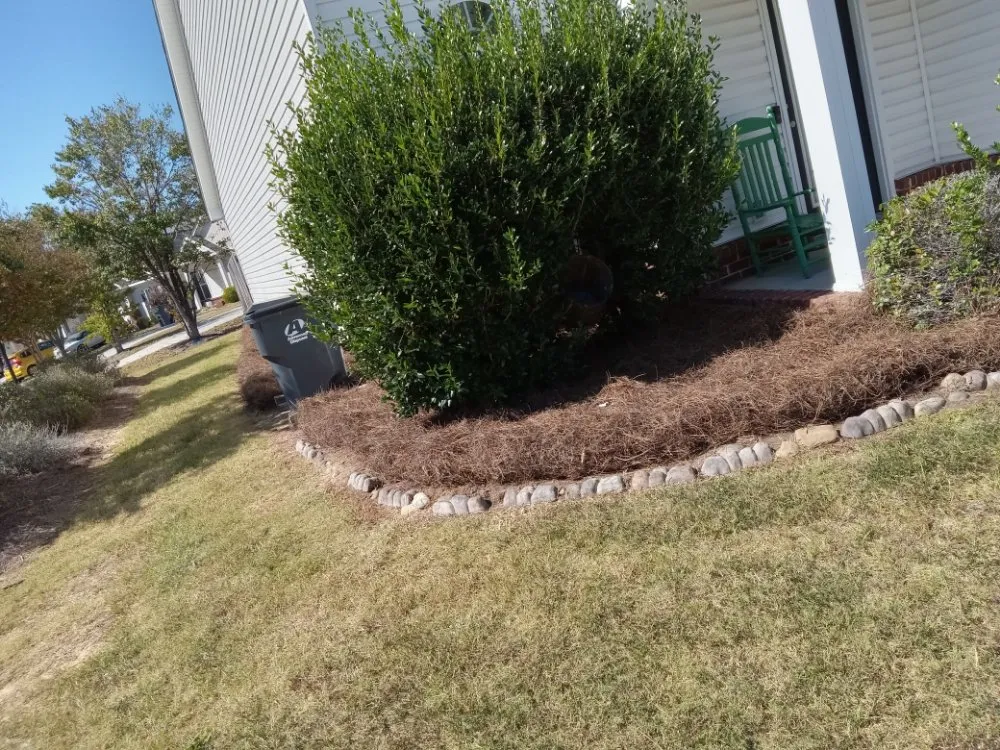 Local lawn mowing service near you across Thomson, GA - whitaker lawn care