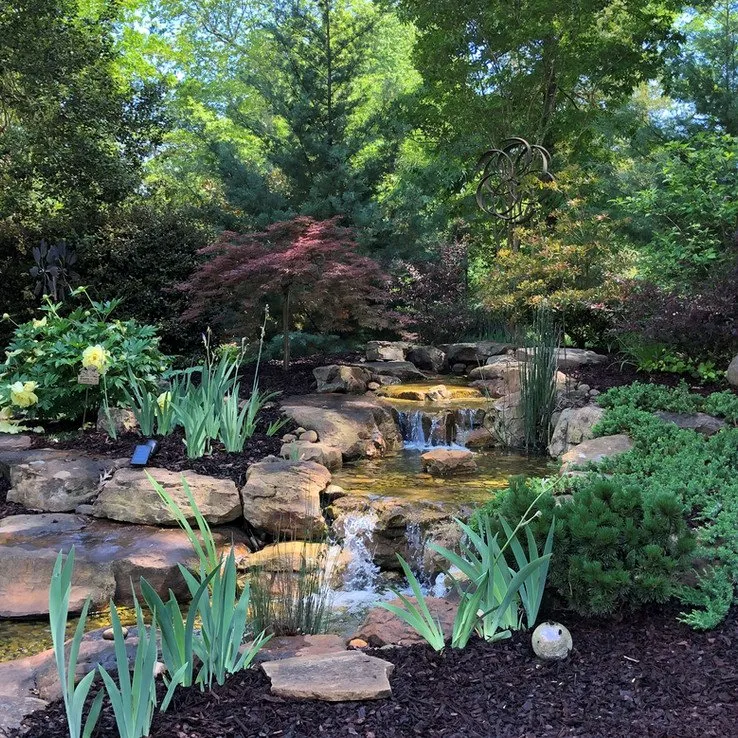Trusted yard cleanup service in Franklinville, NC by Whitaker Waterscapes