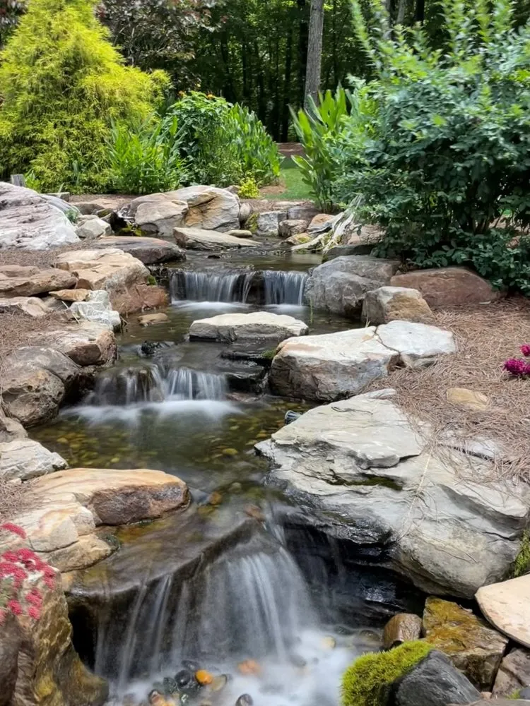 Top-rated outdoor landscaping for year-round maintenance across Franklinville, NC - Whitaker Waterscapes