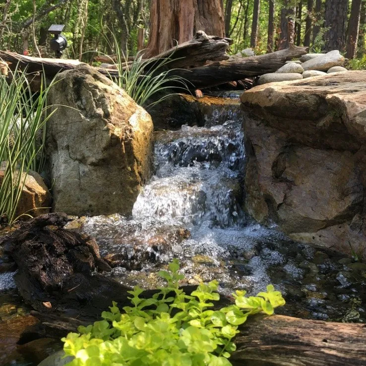 Affordable outdoor landscaping with custom design across Franklinville, NC - Whitaker Waterscapes