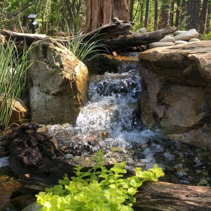 Custom landscape design in Franklinville, NC - Whitaker Waterscapes