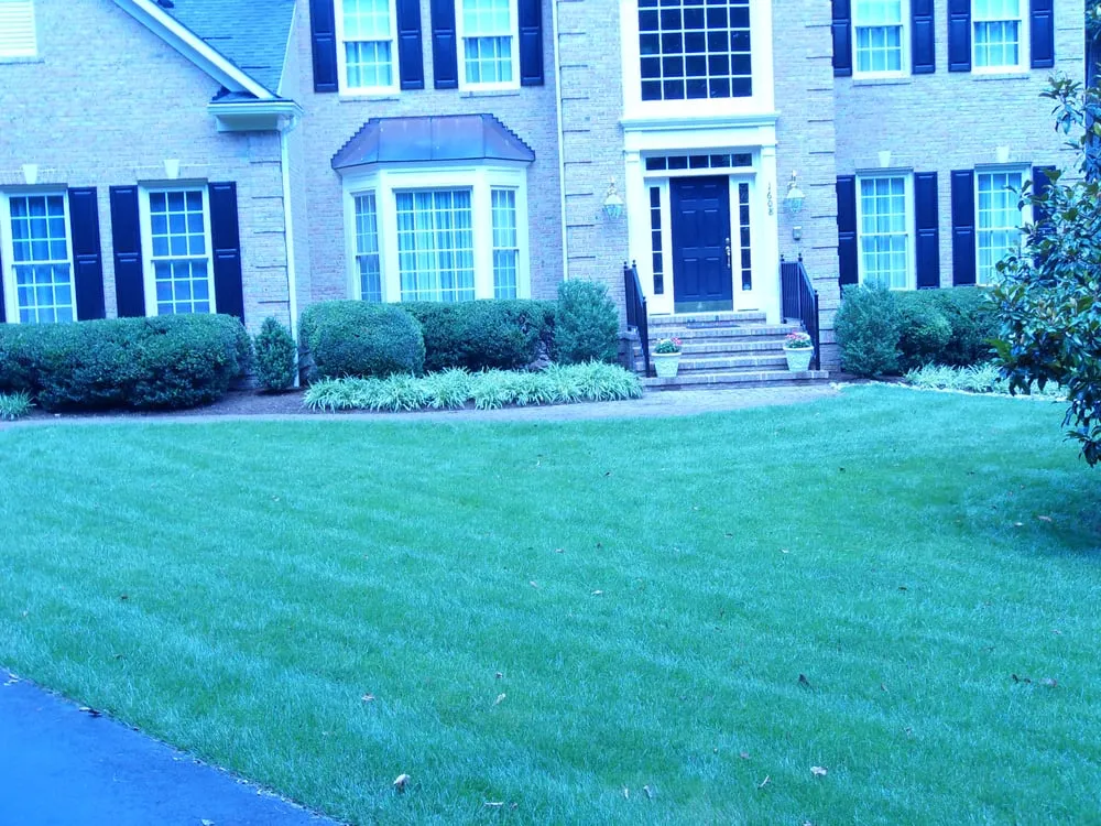 Top-rated landscape installation for homes across Annapolis, MD - Whitaker's Landscaping