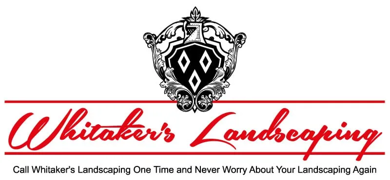 Top-rated residential landscaping for beautiful yards in Annapolis, MD by Whitaker's Landscaping