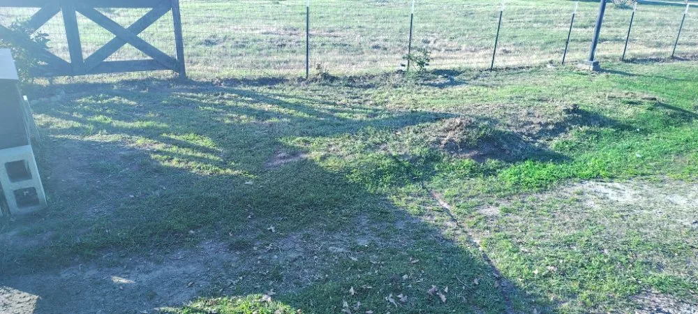 Custom lawn care service for residential properties across Canton, TX - Whitcomb Lawn Care