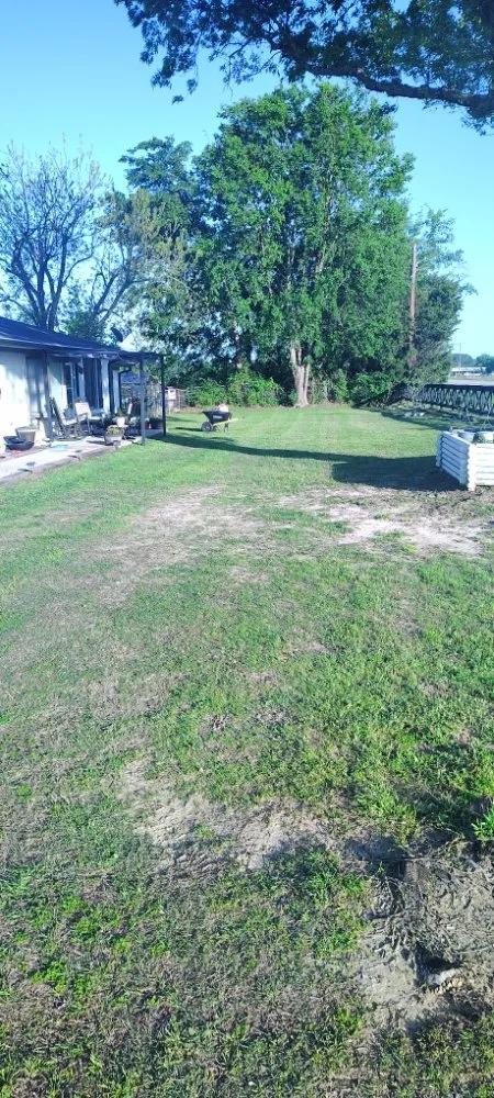 Top-rated landscaping services for beautiful yards in Canton, TX by Whitcomb Lawn Care