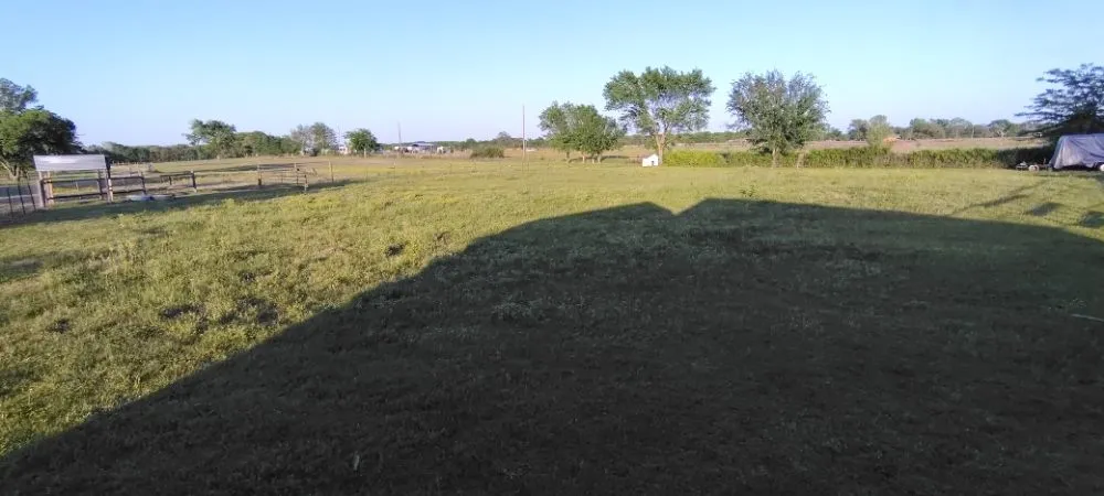 Reliable yard maintenance for outdoor upgrades across Canton, TX - Whitcomb Lawn Care