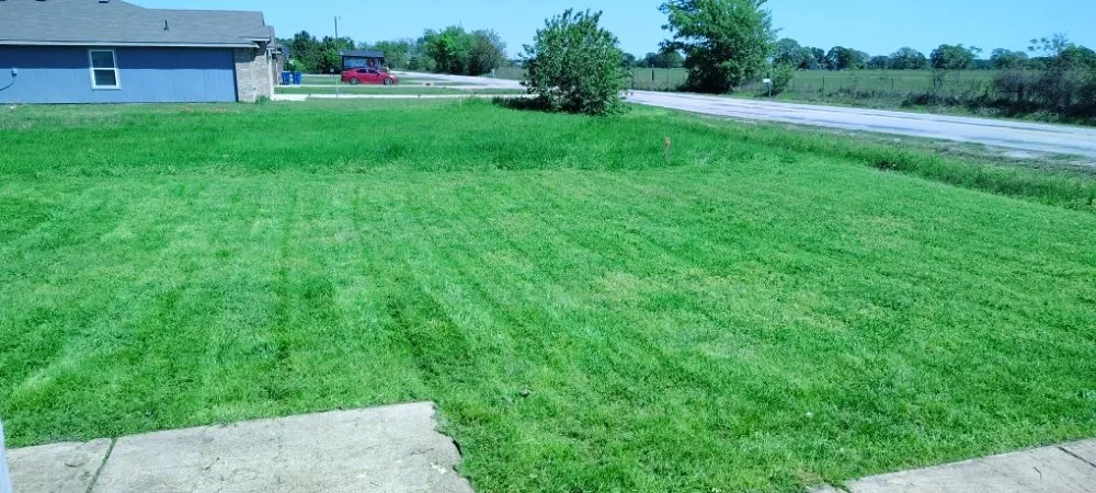 Custom lawn care service for outdoor upgrades in Canton, TX by Whitcomb Lawn Care