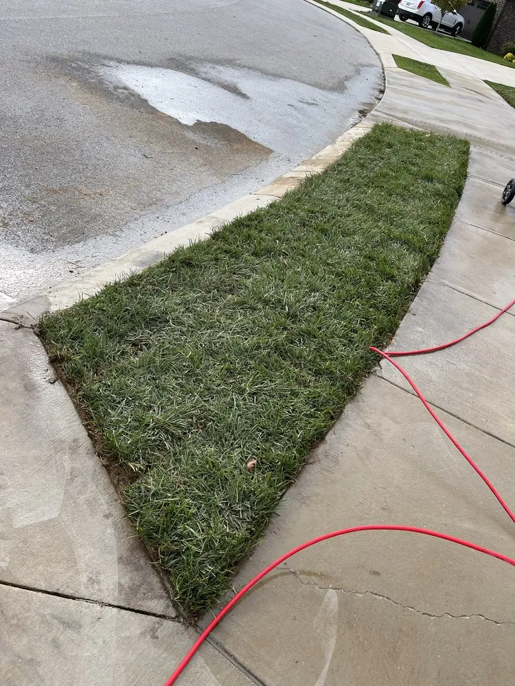 Reliable lawn care service in Birmingham, AL by White and White