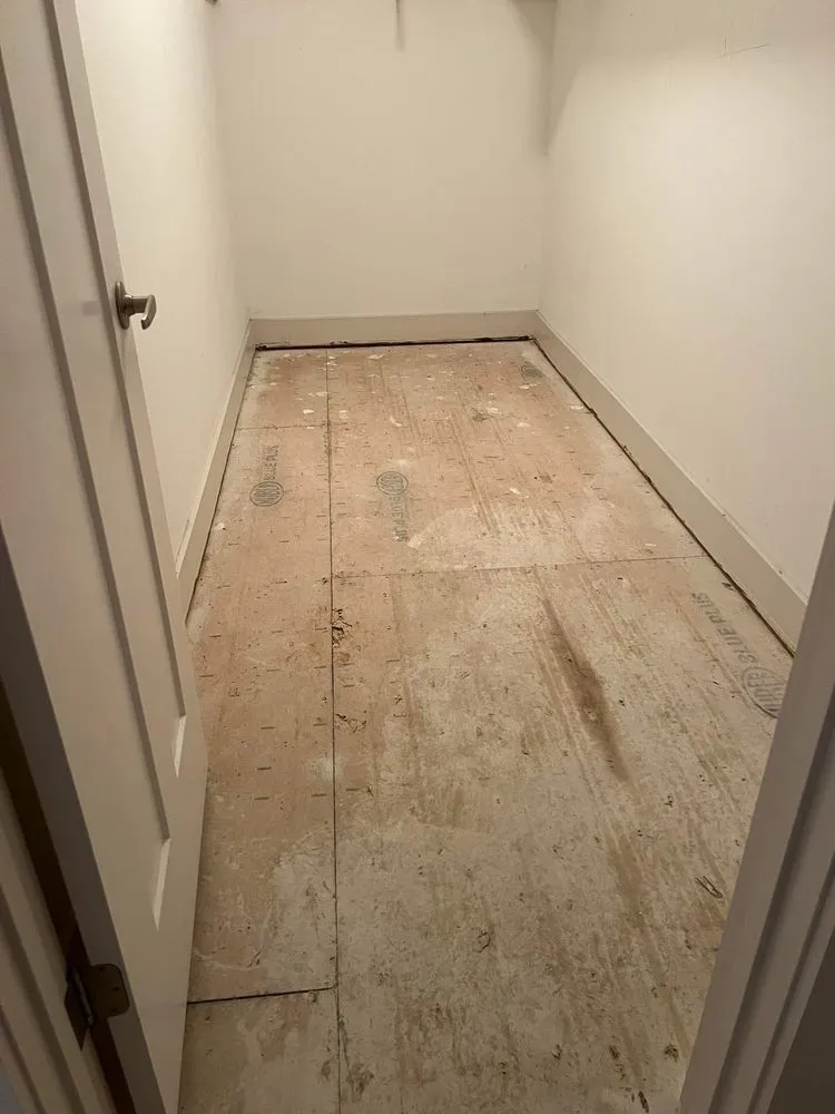 Reliable yard cleanup service in Birmingham, AL by White and White