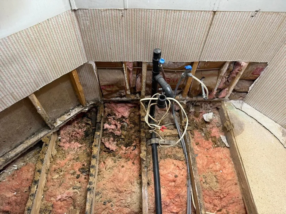 Affordable outdoor landscaping in Birmingham, AL by White and White