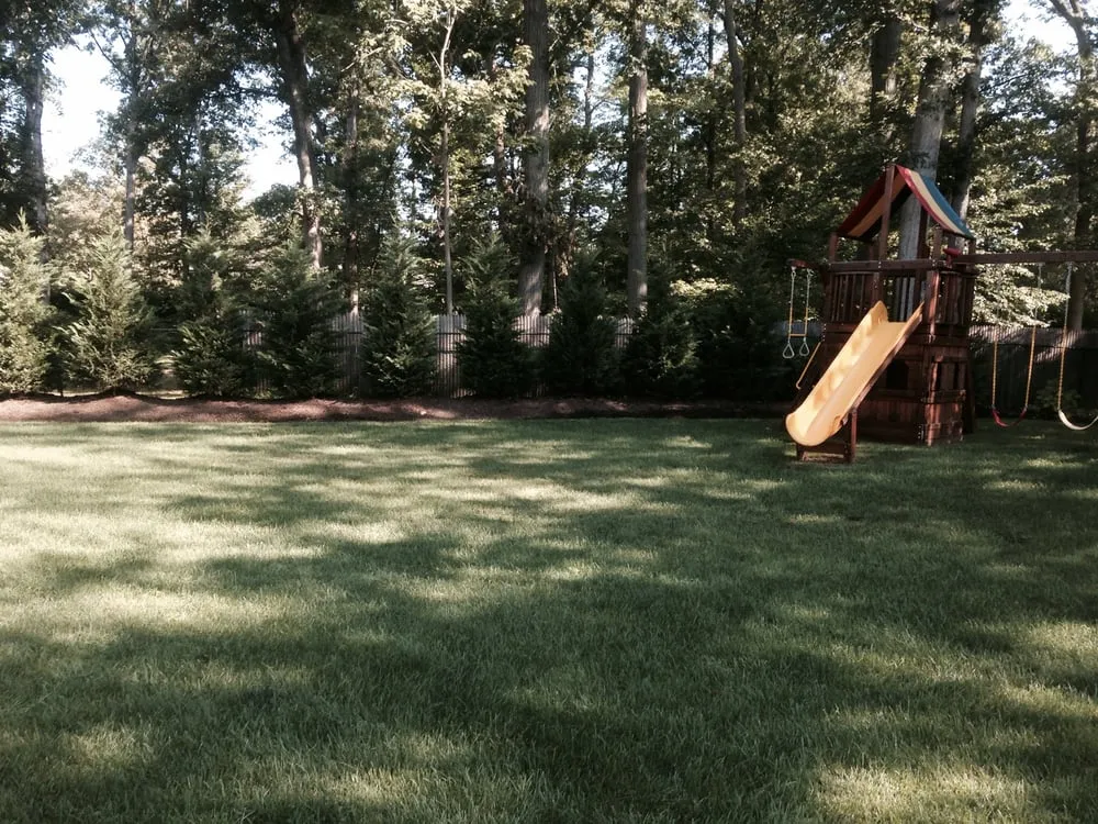 Top-rated garden landscaping experts serving Livingston, NJ - White Birch Landscape Design