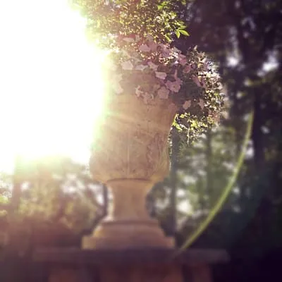 White Birch Landscape Design