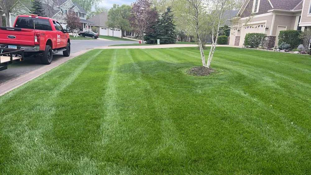 Top-rated landscape installation for outdoor upgrades across Ham Lake, MN - White Birch Outdoor Services