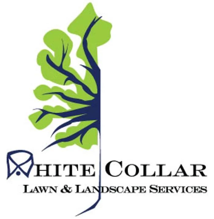Top-rated residential landscaping with custom design in Marshall, MI by White Collar Lawn & Landscaping Services