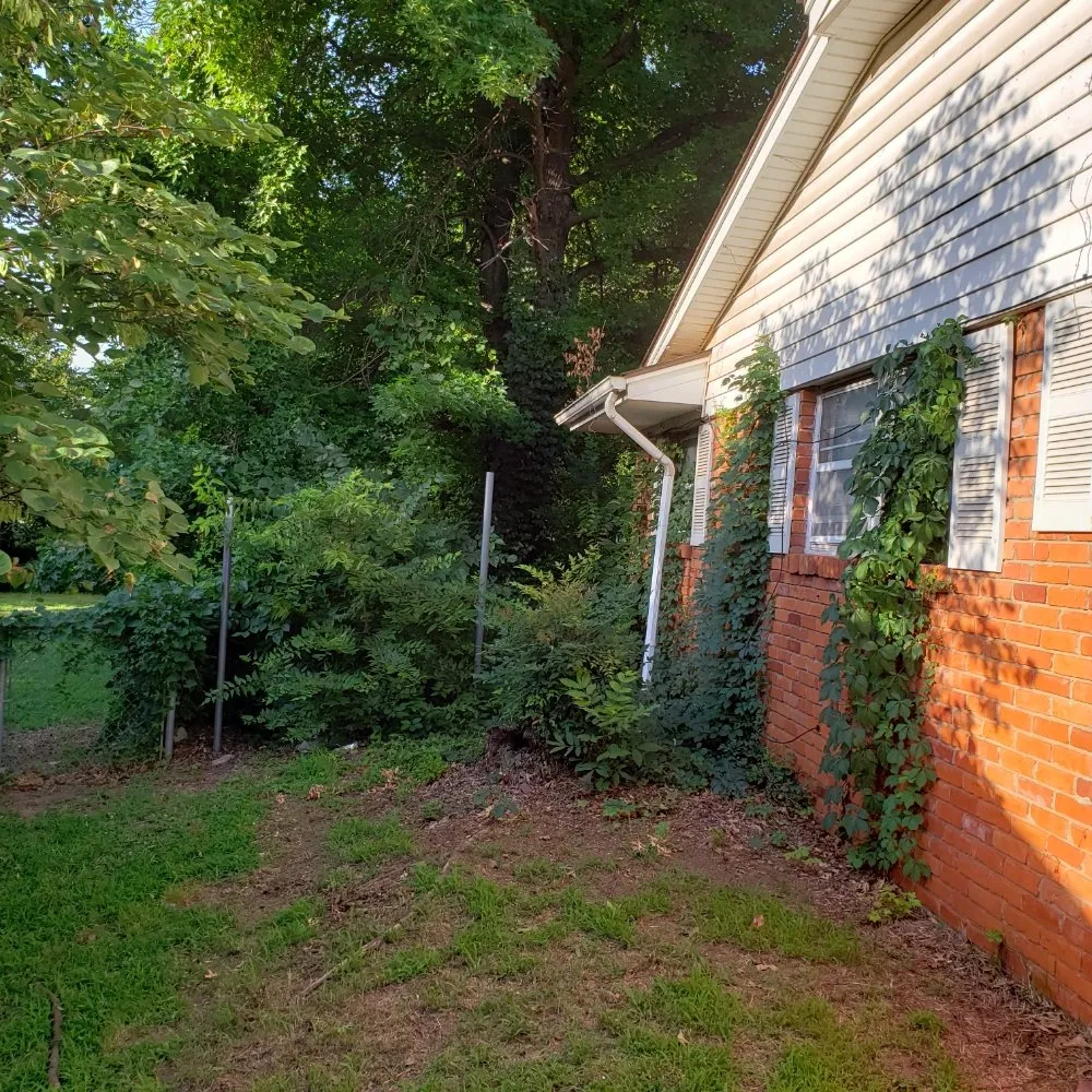 Trusted lawn care service in Mustang, OK - White Eagle Lawn Solutions and Trash Removal