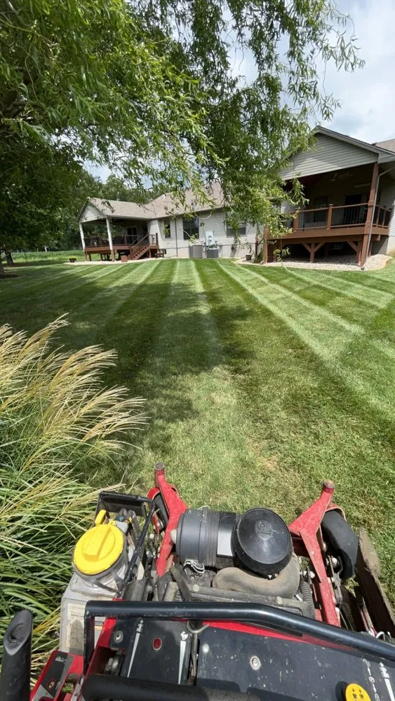 Reliable yard cleanup service experts serving Fairview Heights, IL - White Excavating & Landscaping