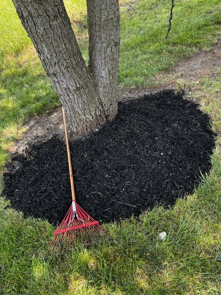 Reliable landscape design for beautiful yards across Fairview Heights, IL - White Excavating & Landscaping