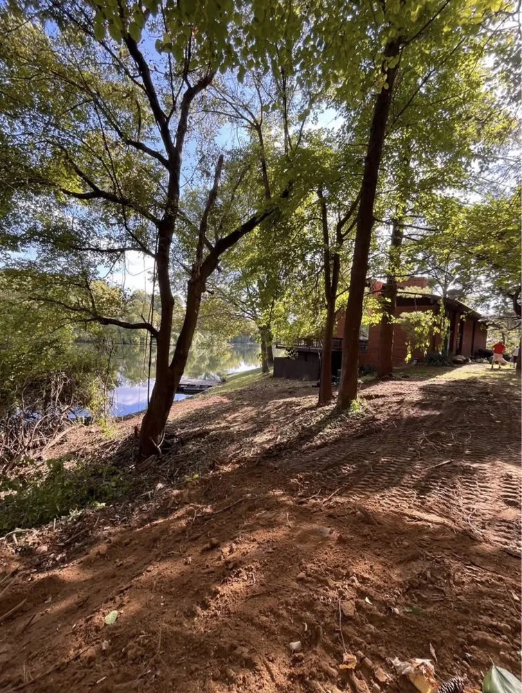 Expert yard cleanup service near you in Fairview Heights, IL by White Excavating & Landscaping