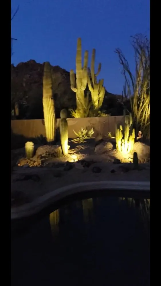 Professional yard cleanup service near you in Scottsdale, AZ by White Feather Landscaping