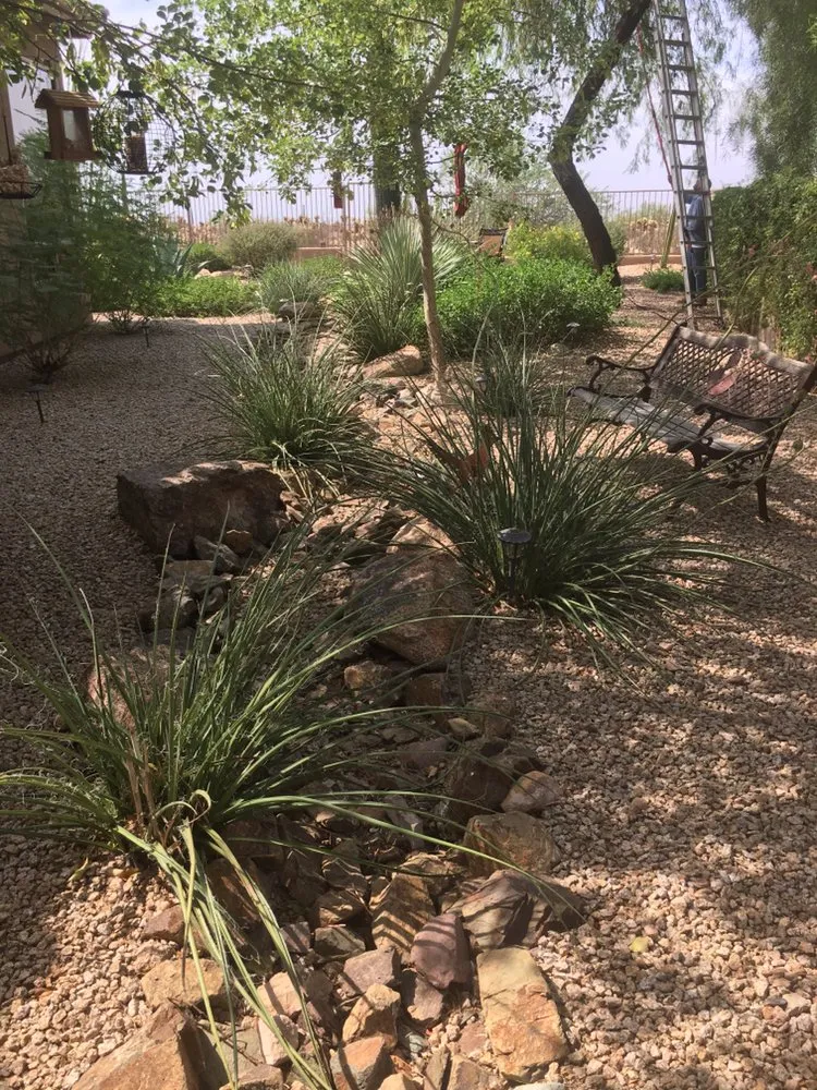 Affordable garden landscaping in Scottsdale, AZ by White Feather Landscaping