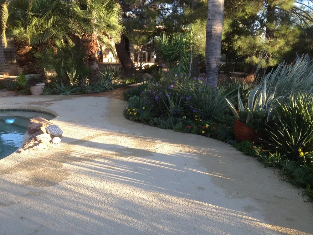 Expert garden landscaping in Scottsdale, AZ by White Feather Landscaping