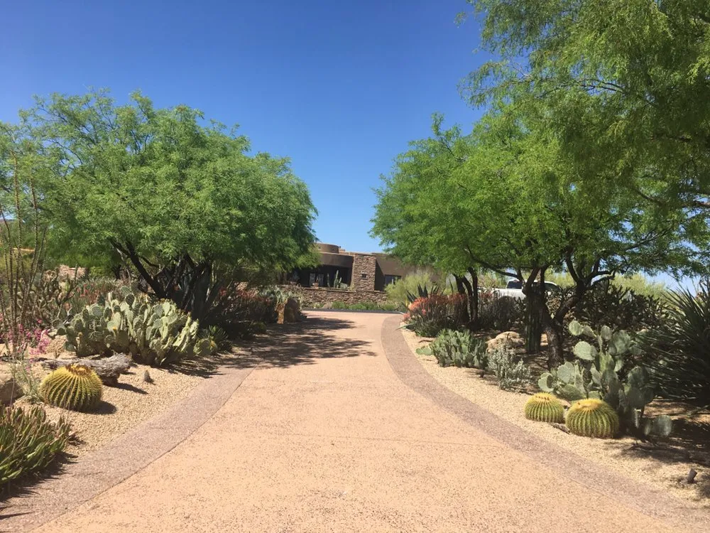 Custom yard cleanup service in Scottsdale, AZ - White Feather Landscaping