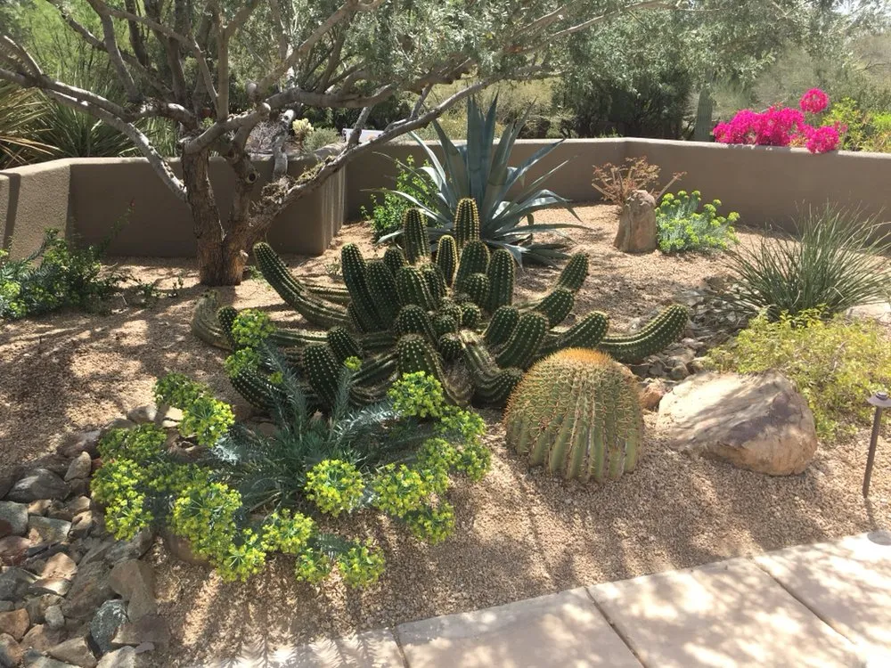 Affordable landscaping services experts serving Scottsdale, AZ - White Feather Landscaping
