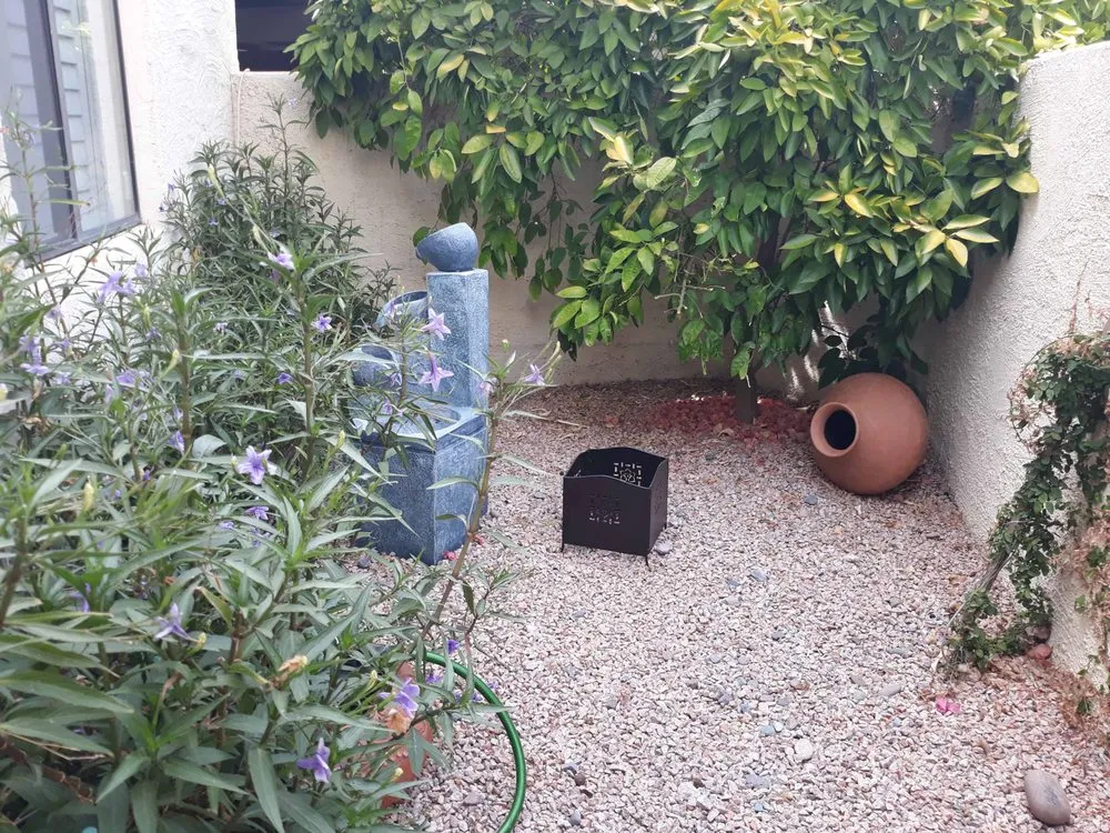 Local landscape design in Scottsdale, AZ - White Feather Landscaping