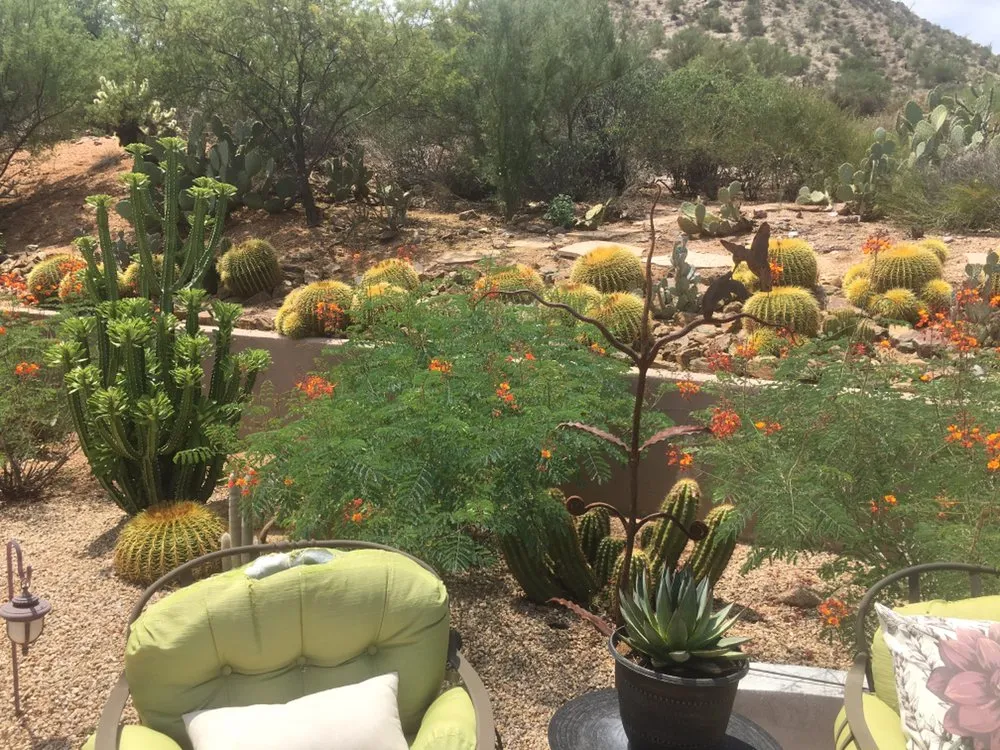 Top-rated garden landscaping experts serving Scottsdale, AZ - White Feather Landscaping