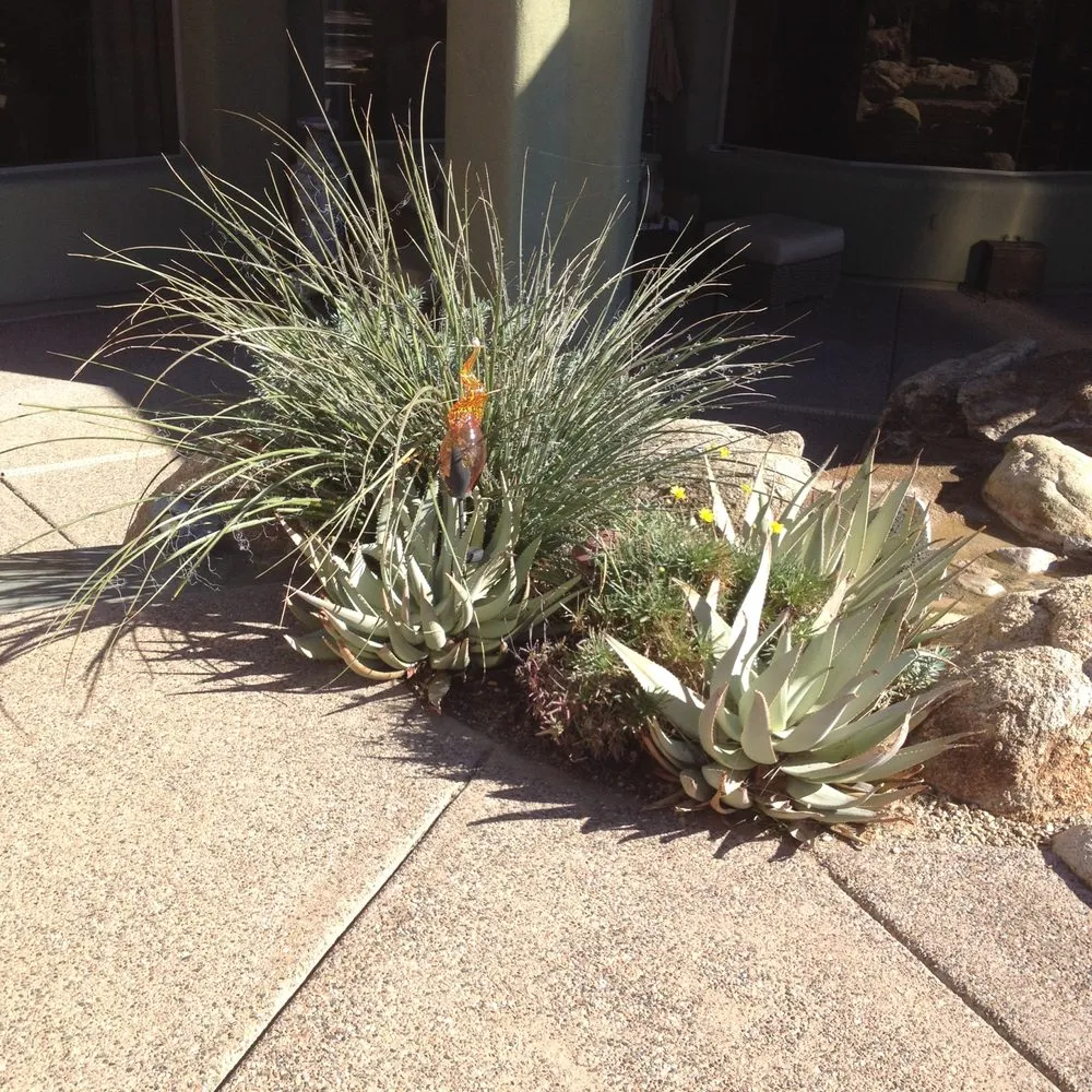 Professional landscape design experts serving Scottsdale, AZ - White Feather Landscaping