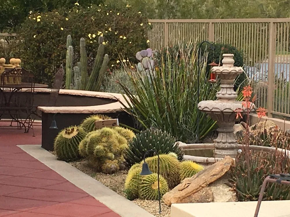 Reliable outdoor landscaping in Scottsdale, AZ - White Feather Landscaping