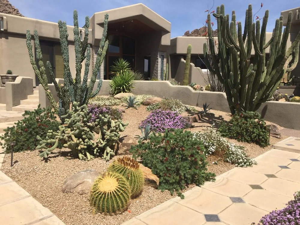 Reliable garden landscaping for year-round maintenance across Scottsdale, AZ - White Feather Landscaping