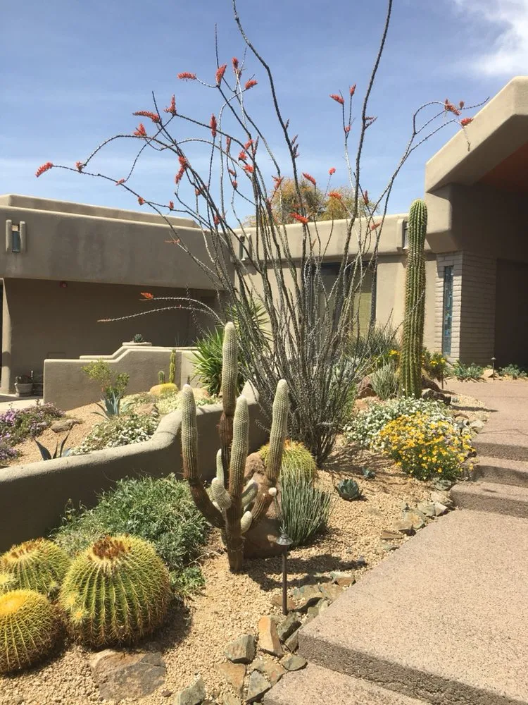 Affordable yard maintenance for residential properties in Scottsdale, AZ by White Feather Landscaping