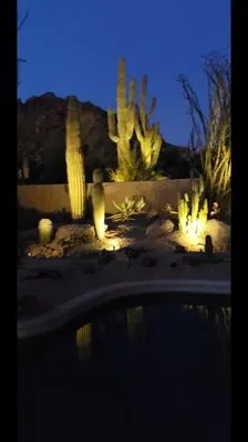 White Feather Landscaping Logo