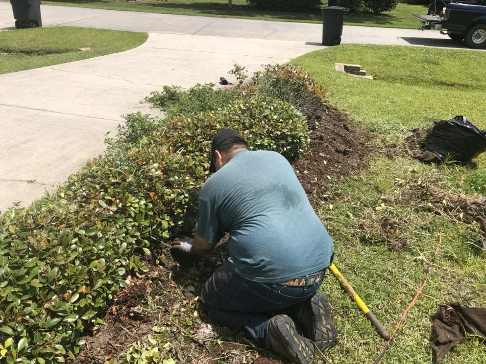 Reliable landscape installation for outdoor upgrades across Slidell, LA - White Gator Lawn Care