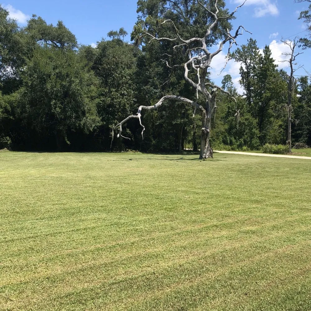 Local residential landscaping for year-round maintenance across Slidell, LA - White Gator Lawn Care