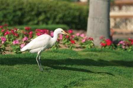 Reliable landscape design with custom design across Houston, TX - White Gloves Kleaning Services