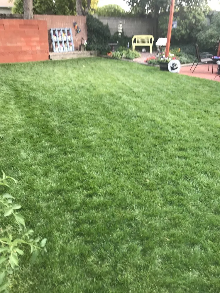 Local landscaping services for residential properties across Salt Lake City, UT - White Hat Lawn Care