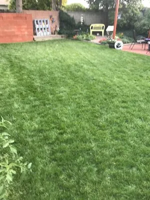 White Hat Lawn Care Logo