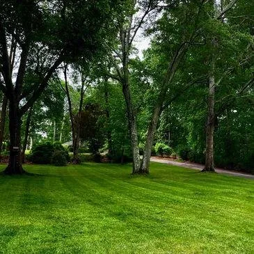 Expert outdoor landscaping in Pendleton, SC by White Hawk Landscapes