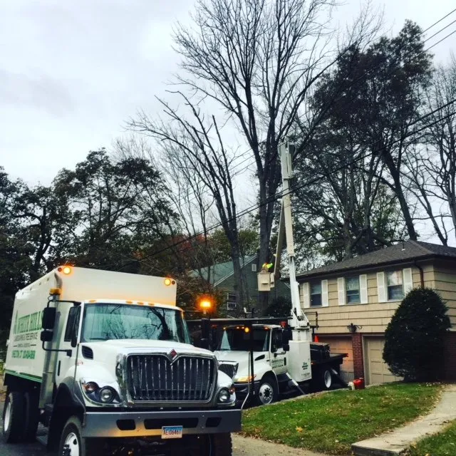 Local lawn mowing service for beautiful yards across Ansonia, CT - White Hills Landscaping & Tree Service