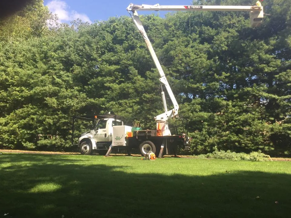 Reliable yard maintenance for year-round maintenance in Ansonia, CT by White Hills Landscaping & Tree Service