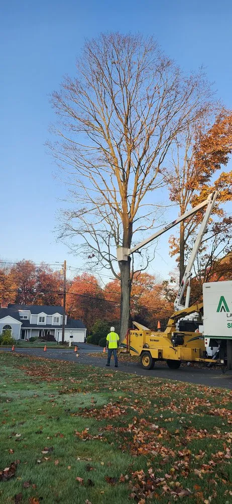 Professional landscape design in Ansonia, CT by White Hills Landscaping & Tree Service