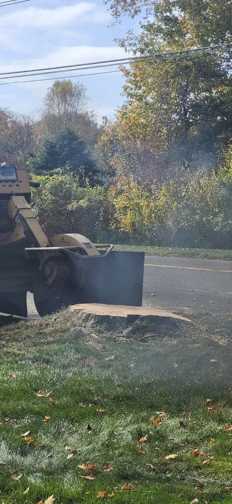 Custom landscaping services in Ansonia, CT by White Hills Landscaping & Tree Service