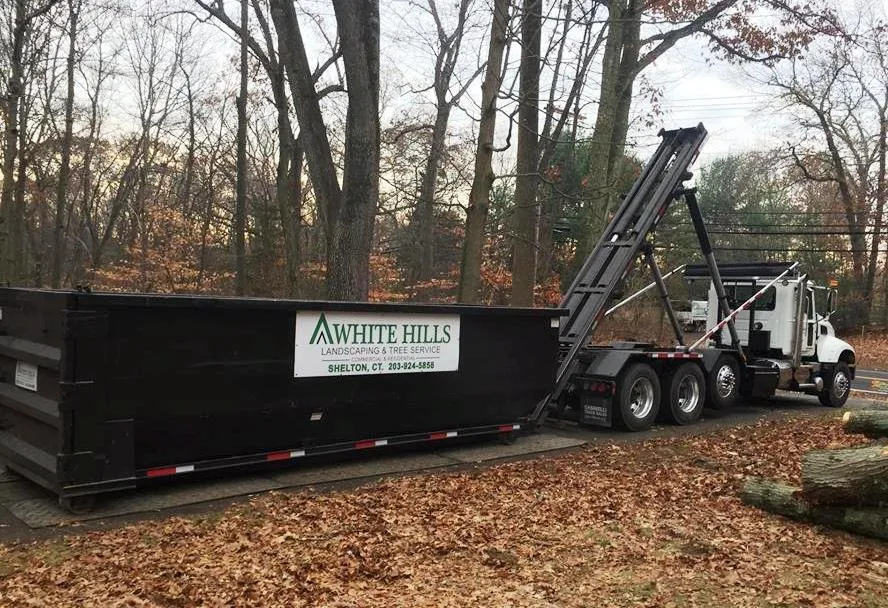 Professional yard cleanup service in Ansonia, CT by White Hills Landscaping & Tree Service