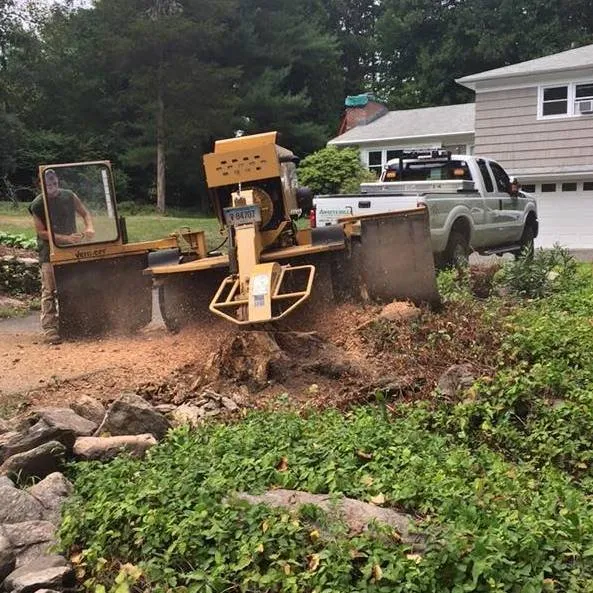 Affordable lawn mowing service in Ansonia, CT by White Hills Landscaping & Tree Service