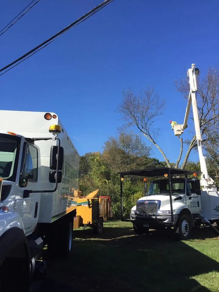 Professional lawn care service for outdoor upgrades across Ansonia, CT - White Hills Landscaping & Tree Service