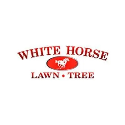 Top-rated outdoor landscaping experts serving Plymouth, MA - White Horse Lawn and Tree