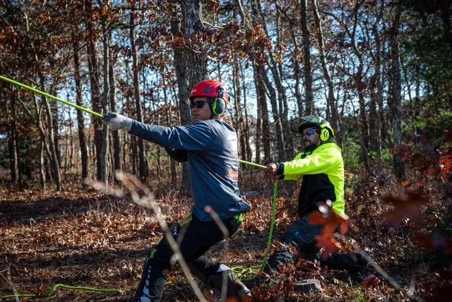 Affordable landscape design for residential properties in Plymouth, MA by White Horse Lawn and Tree